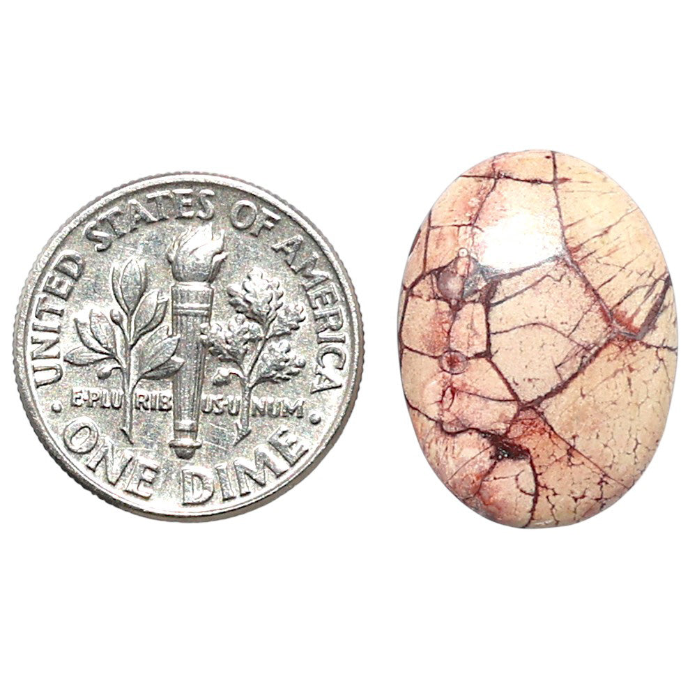 Mexican Bird Eye 14.2x19.1x4 mm Oval Shape Polished Gemstone LS92-08407