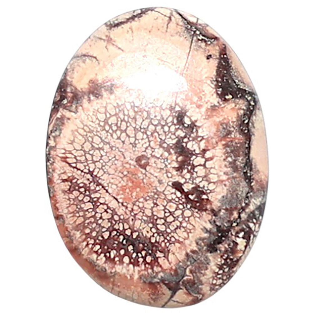 Mexican Bird Eye 13.5x18.3x3.5 mm Oval Shape Polished Gemstone LS92-08408