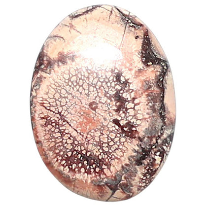 Mexican Bird Eye 13.5x18.3x3.5 mm Oval Shape Polished Gemstone LS92-08408