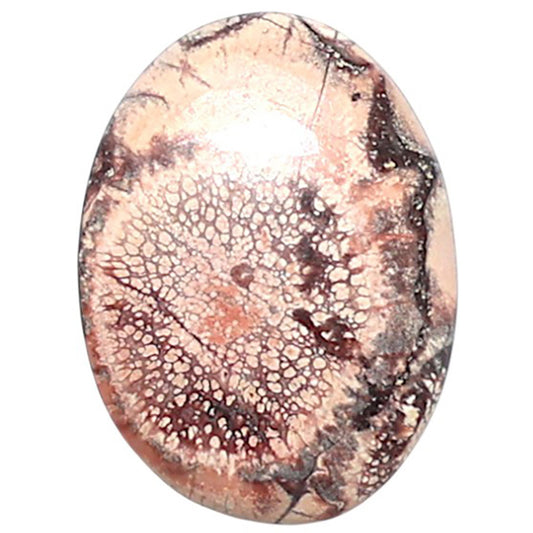 Mexican Bird Eye 13.5x18.3x3.5 mm Oval Shape Polished Gemstone LS92-08408