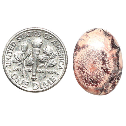 Mexican Bird Eye 13.5x18.3x3.5 mm Oval Shape Polished Gemstone LS92-08408