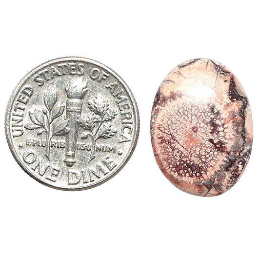 Mexican Bird Eye 13.5x18.3x3.5 mm Oval Shape Polished Gemstone LS92-08408