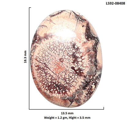 Mexican Bird Eye 13.5x18.3x3.5 mm Oval Shape Polished Gemstone LS92-08408