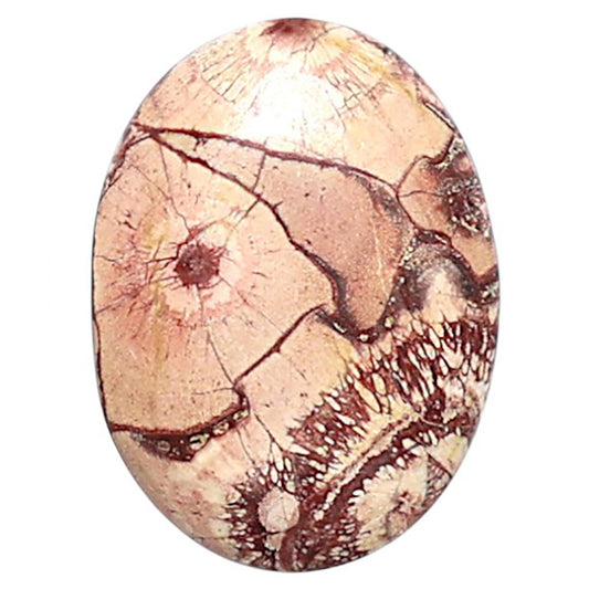 Mexican Bird Eye 14.3x19.2x3.8 mm Oval Shape Polished Gemstone LS92-08410