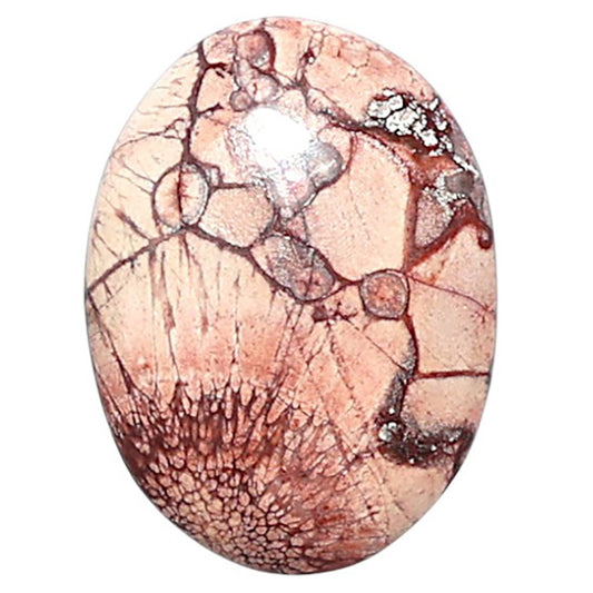 Mexican Bird Eye 14.4x19.4x4 mm Oval Shape Polished Gemstone LS92-08412