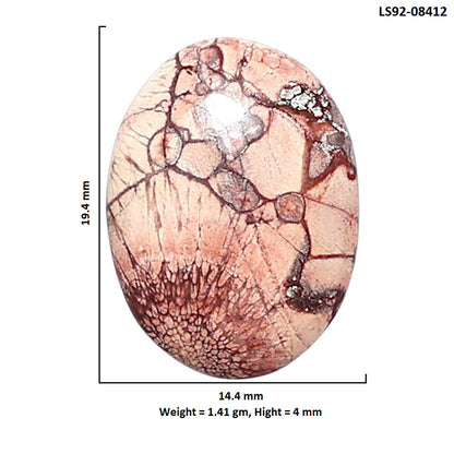 Mexican Bird Eye 14.4x19.4x4 mm Oval Shape Polished Gemstone LS92-08412