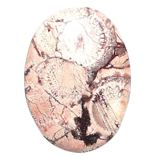 Mexican Bird Eye 13.2x18x4 mm Oval Shape Polished Gemstone LS92-08413