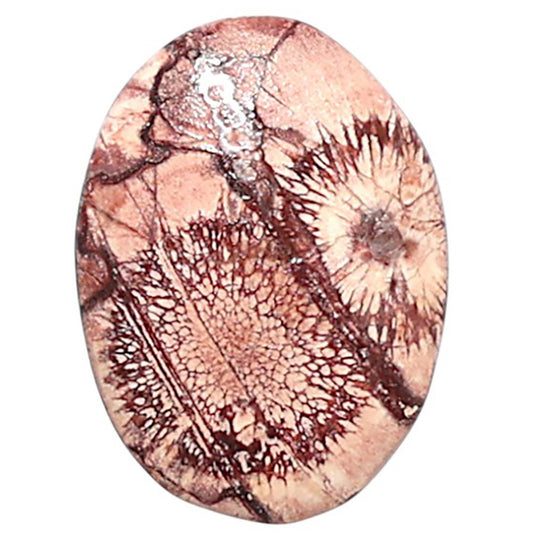 Mexican Bird Eye 13.2x18x3.5 mm Oval Shape Polished Gemstone LS92-08414