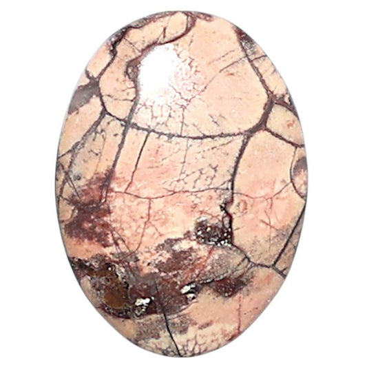 Mexican Bird Eye 13.1x18x3.5 mm Oval Shape Polished Gemstone LS92-08415