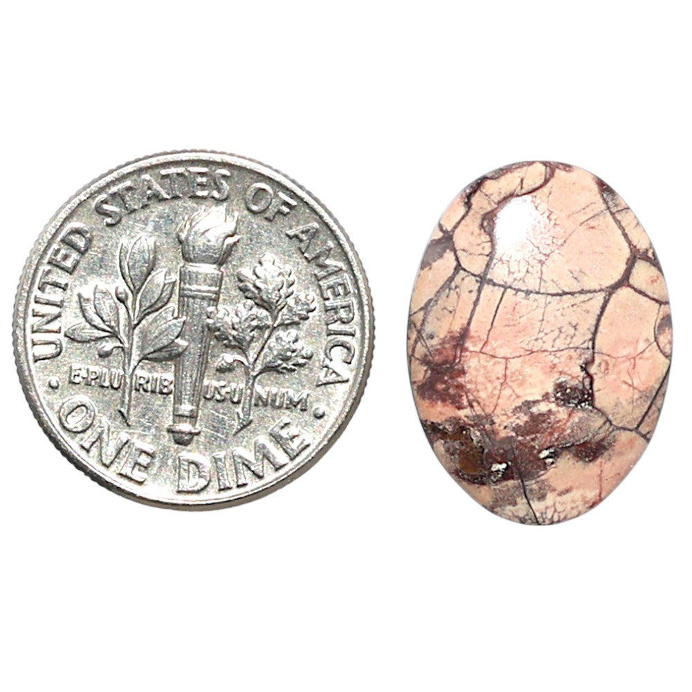 Mexican Bird Eye 13.1x18x3.5 mm Oval Shape Polished Gemstone LS92-08415