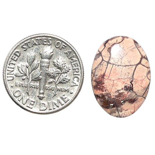 Mexican Bird Eye 13.1x18x3.5 mm Oval Shape Polished Gemstone LS92-08415