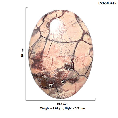 Mexican Bird Eye 13.1x18x3.5 mm Oval Shape Polished Gemstone LS92-08415