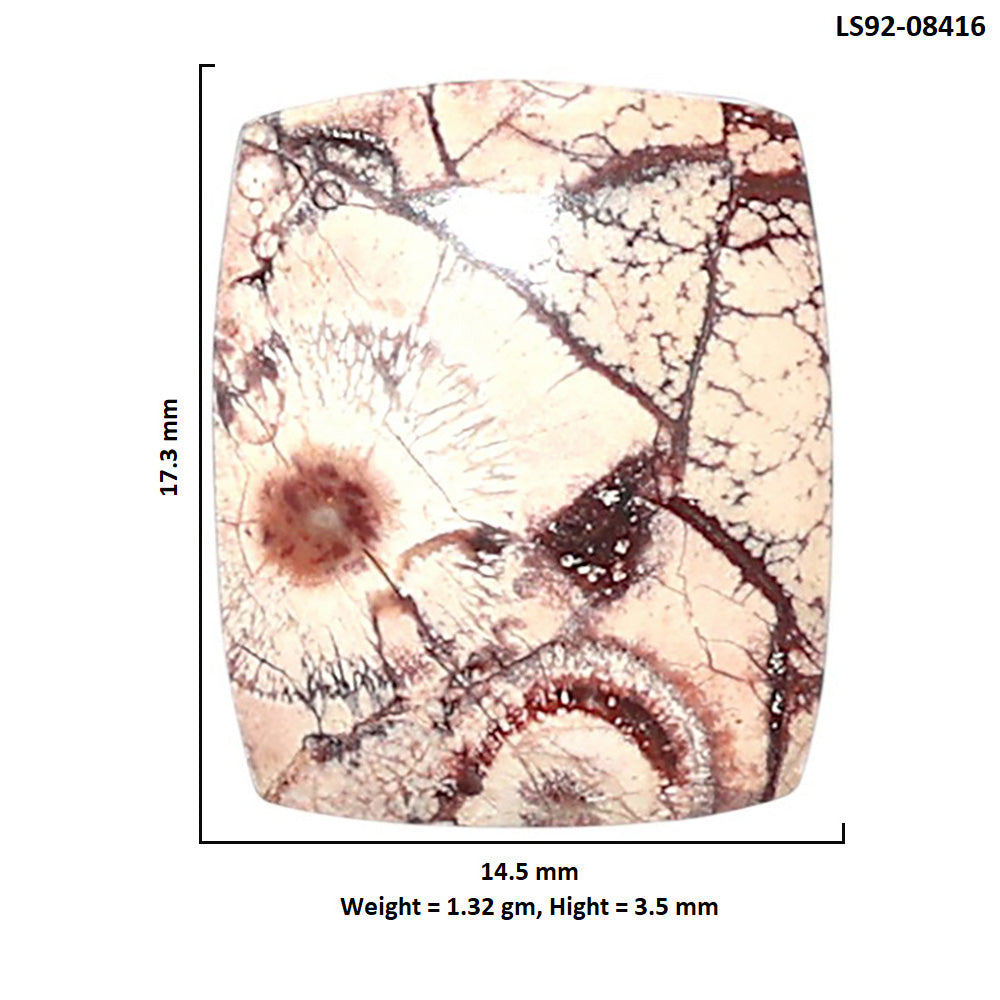 Mexican Bird Eye 14.5x17.3x3.5 mm Cushion Shape Polished Gemstone LS92-08416