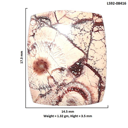 Mexican Bird Eye 14.5x17.3x3.5 mm Cushion Shape Polished Gemstone LS92-08416