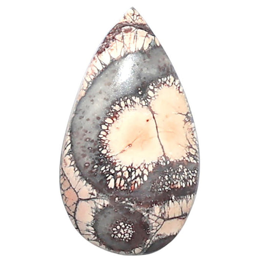 Mexican Bird Eye 12.4x22x4 mm Pear Shape Polished Gemstone LS92-08417
