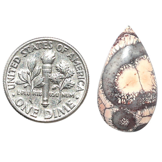 Mexican Bird Eye 12.4x22x4 mm Pear Shape Polished Gemstone LS92-08417