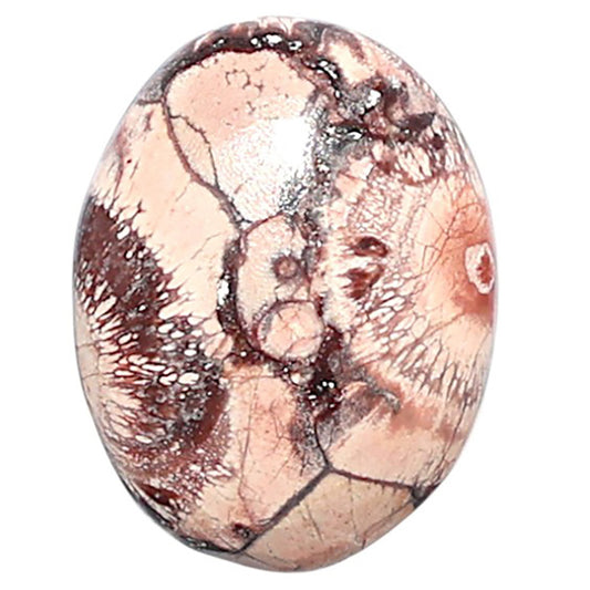 Mexican Bird Eye 14.8x19.3x4.5 mm Oval Shape Polished Gemstone LS92-08418