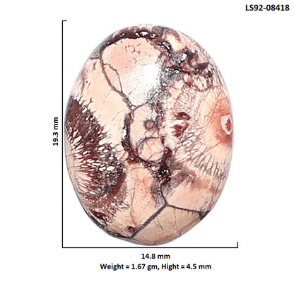 Mexican Bird Eye 14.8x19.3x4.5 mm Oval Shape Polished Gemstone LS92-08418