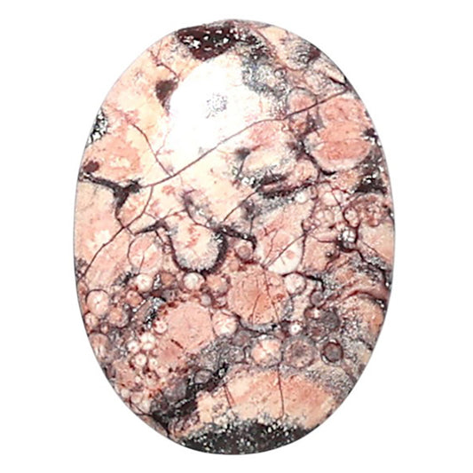 Mexican Bird Eye 13.8x18.6x3.3 mm Oval Shape Polished Gemstone LS92-08419