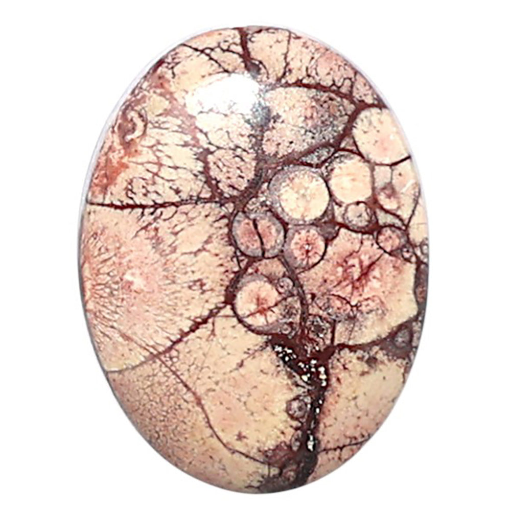 Mexican Bird Eye 14x18.5x4 mm Oval Shape Polished Gemstone LS92-08420