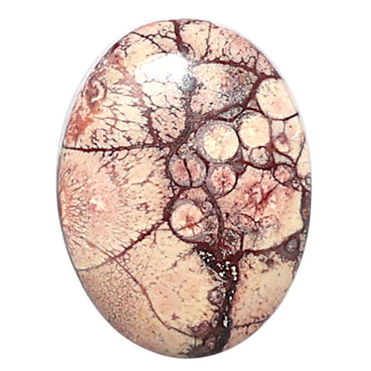Mexican Bird Eye 14x18.5x4 mm Oval Shape Polished Gemstone LS92-08420