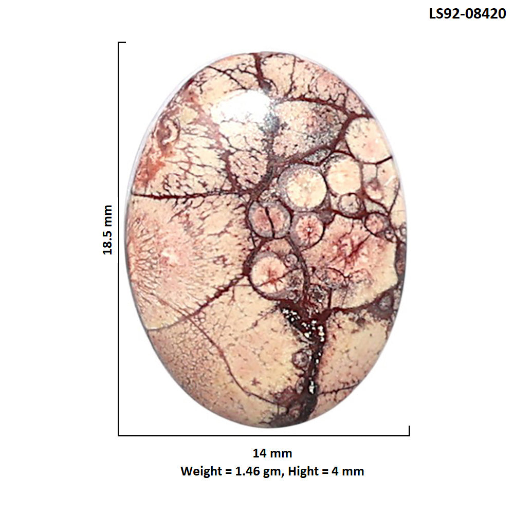 Mexican Bird Eye 14x18.5x4 mm Oval Shape Polished Gemstone LS92-08420