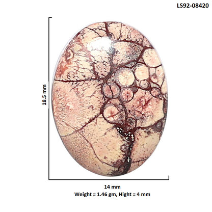 Mexican Bird Eye 14x18.5x4 mm Oval Shape Polished Gemstone LS92-08420