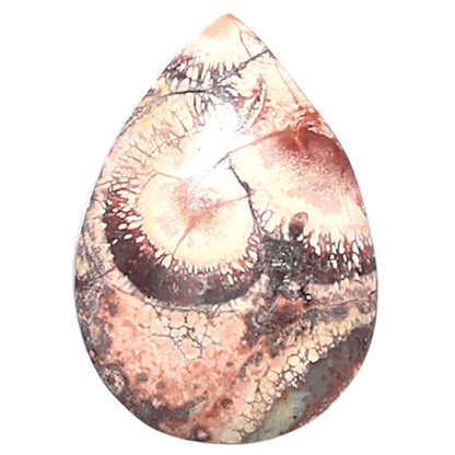 Mexican Bird Eye 13.7x19.2x4 mm Pear Shape Polished Gemstone LS92-08421