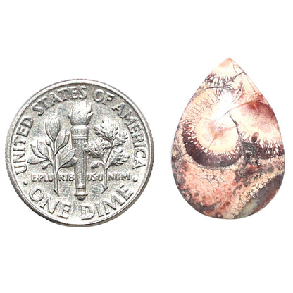 Mexican Bird Eye 13.7x19.2x4 mm Pear Shape Polished Gemstone LS92-08421