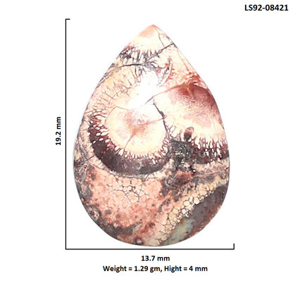 Mexican Bird Eye 13.7x19.2x4 mm Pear Shape Polished Gemstone LS92-08421