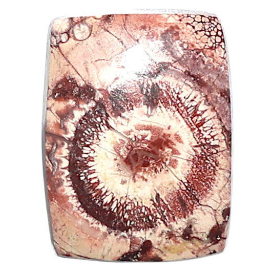 Mexican Bird Eye 14x18.3x4.4 mm Cushion Shape Polished Gemstone LS92-08422