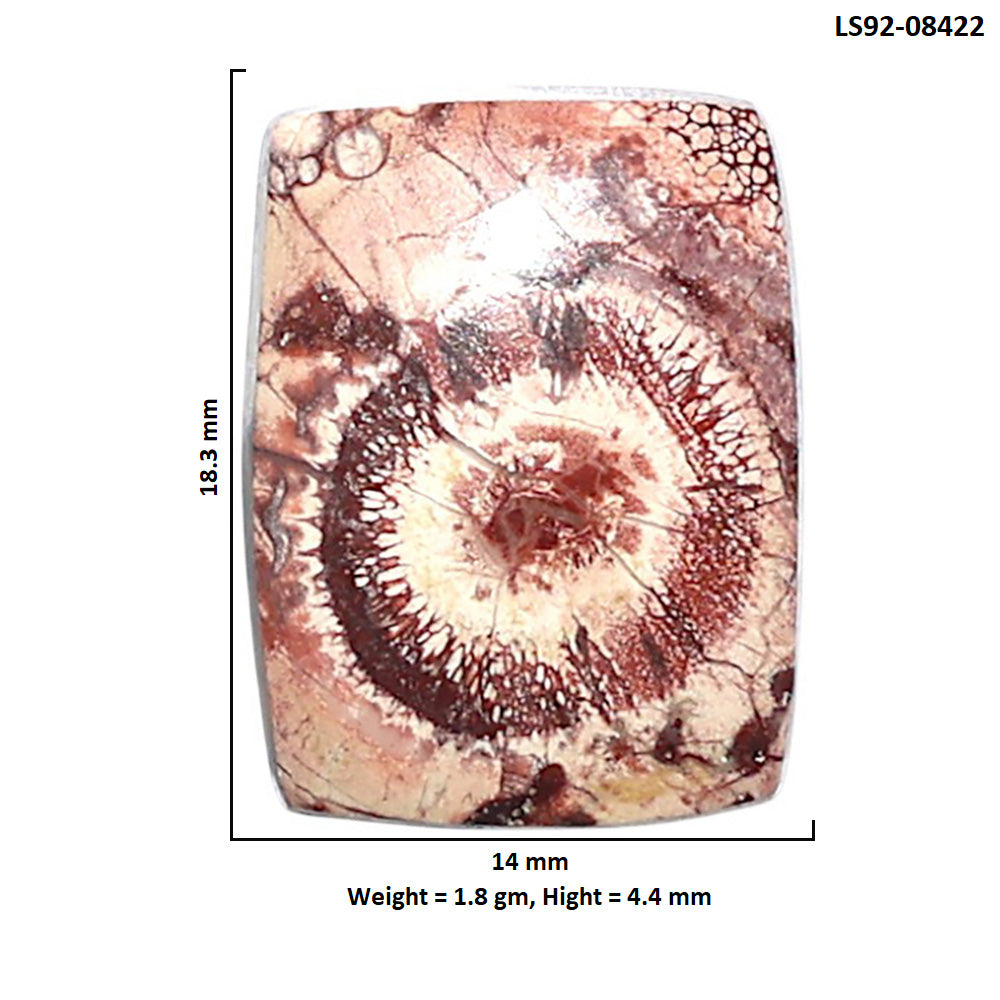 Mexican Bird Eye 14x18.3x4.4 mm Cushion Shape Polished Gemstone LS92-08422
