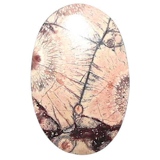 Mexican Bird Eye 13x19.8x3.7 mm Oval Shape Polished Gemstone LS92-08423