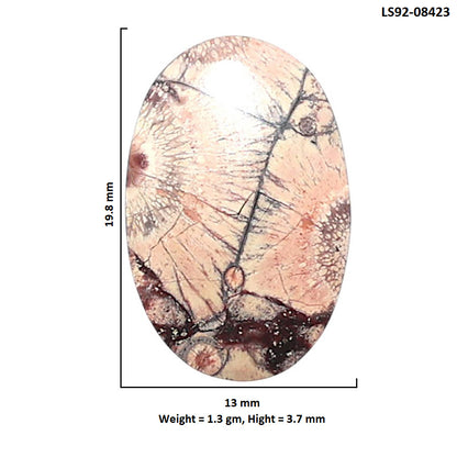 Mexican Bird Eye 13x19.8x3.7 mm Oval Shape Polished Gemstone LS92-08423