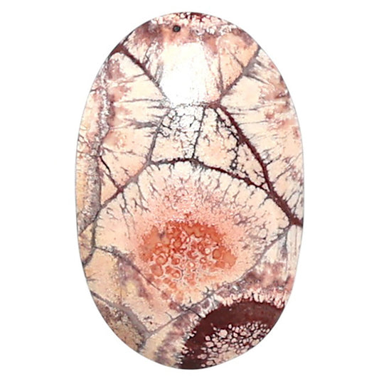 Mexican Bird Eye 13x20x4.6 mm Oval Shape Polished Gemstone LS92-08424