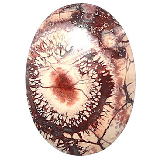 Mexican Bird Eye 13x18x4 mm Oval Shape Polished Gemstone LS92-08425