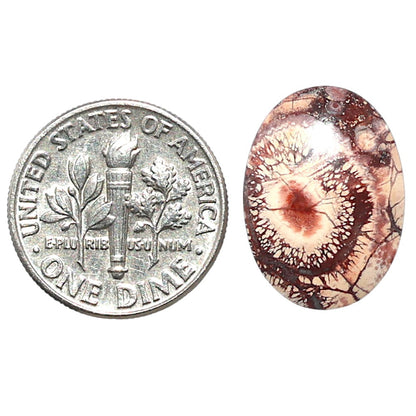 Mexican Bird Eye 13x18x4 mm Oval Shape Polished Gemstone LS92-08425