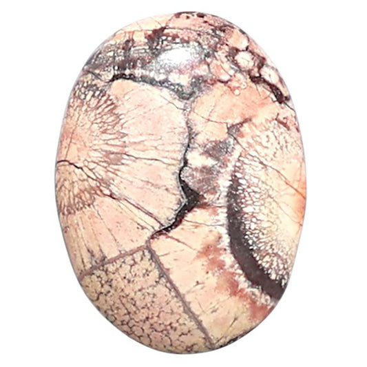 Mexican Bird Eye 13.5x18.1x3.4 mm Oval Shape Polished Gemstone LS92-08427