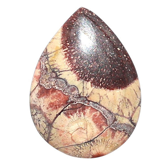 Mexican Bird Eye 14.7x19.8x4.3 mm Pear Shape Polished Gemstone LS92-08428