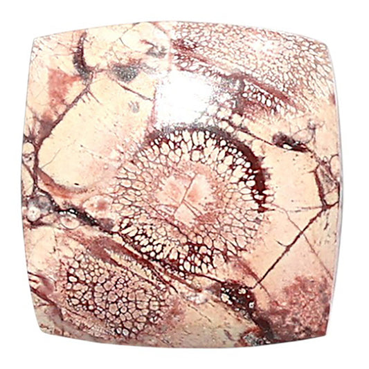 Mexican Bird Eye 17.6x17.9x4 mm Cushion Shape Polished Gemstone LS92-08429