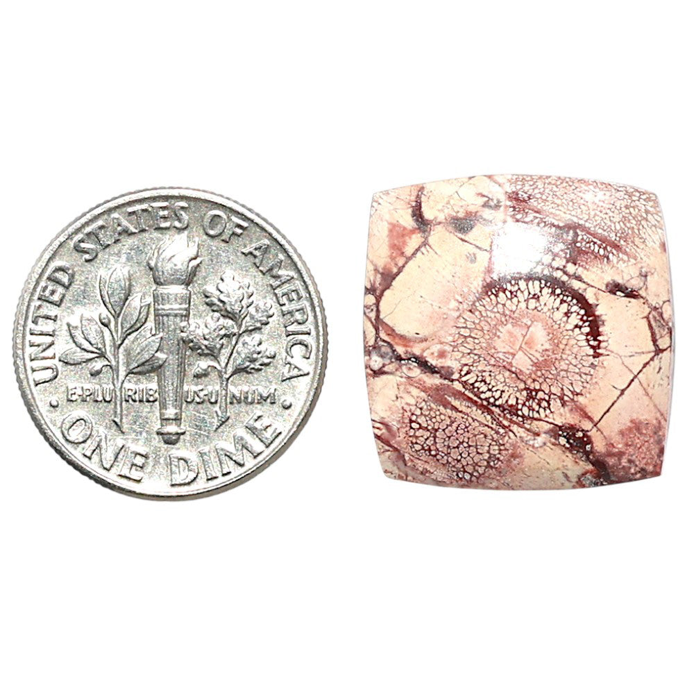 Mexican Bird Eye 17.6x17.9x4 mm Cushion Shape Polished Gemstone LS92-08429