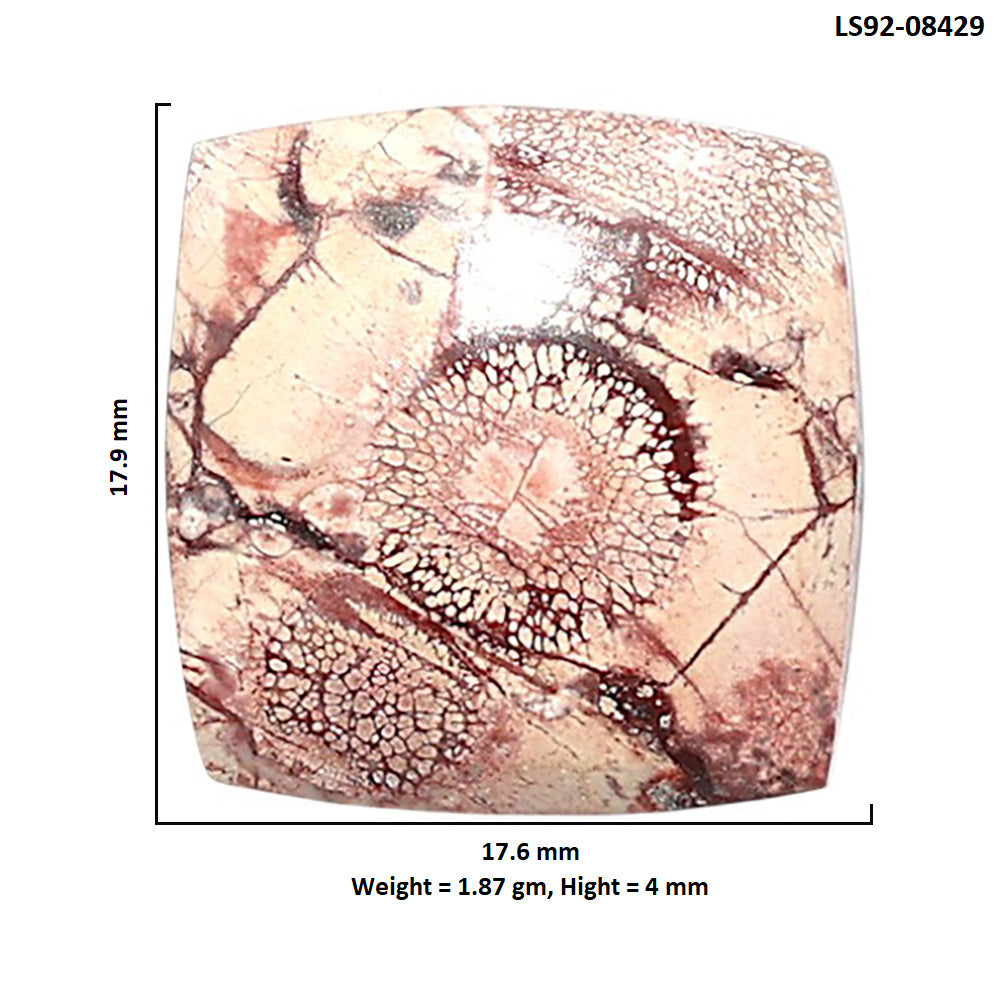 Mexican Bird Eye 17.6x17.9x4 mm Cushion Shape Polished Gemstone LS92-08429