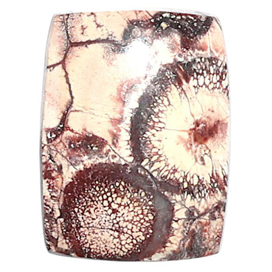 Mexican Bird Eye 13.5x18x4 mm Baguette Shape Polished Gemstone LS92-08430