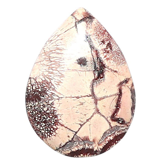 Mexican Bird Eye 14.6x19.7x3.8 mm Pear Shape Polished Gemstone LS92-08431
