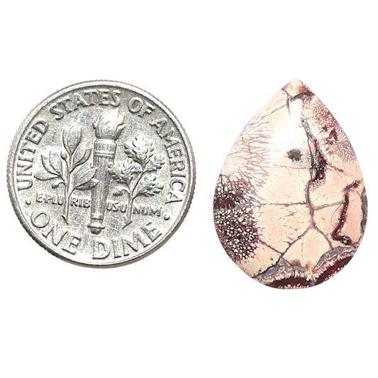 Mexican Bird Eye 14.6x19.7x3.8 mm Pear Shape Polished Gemstone LS92-08431
