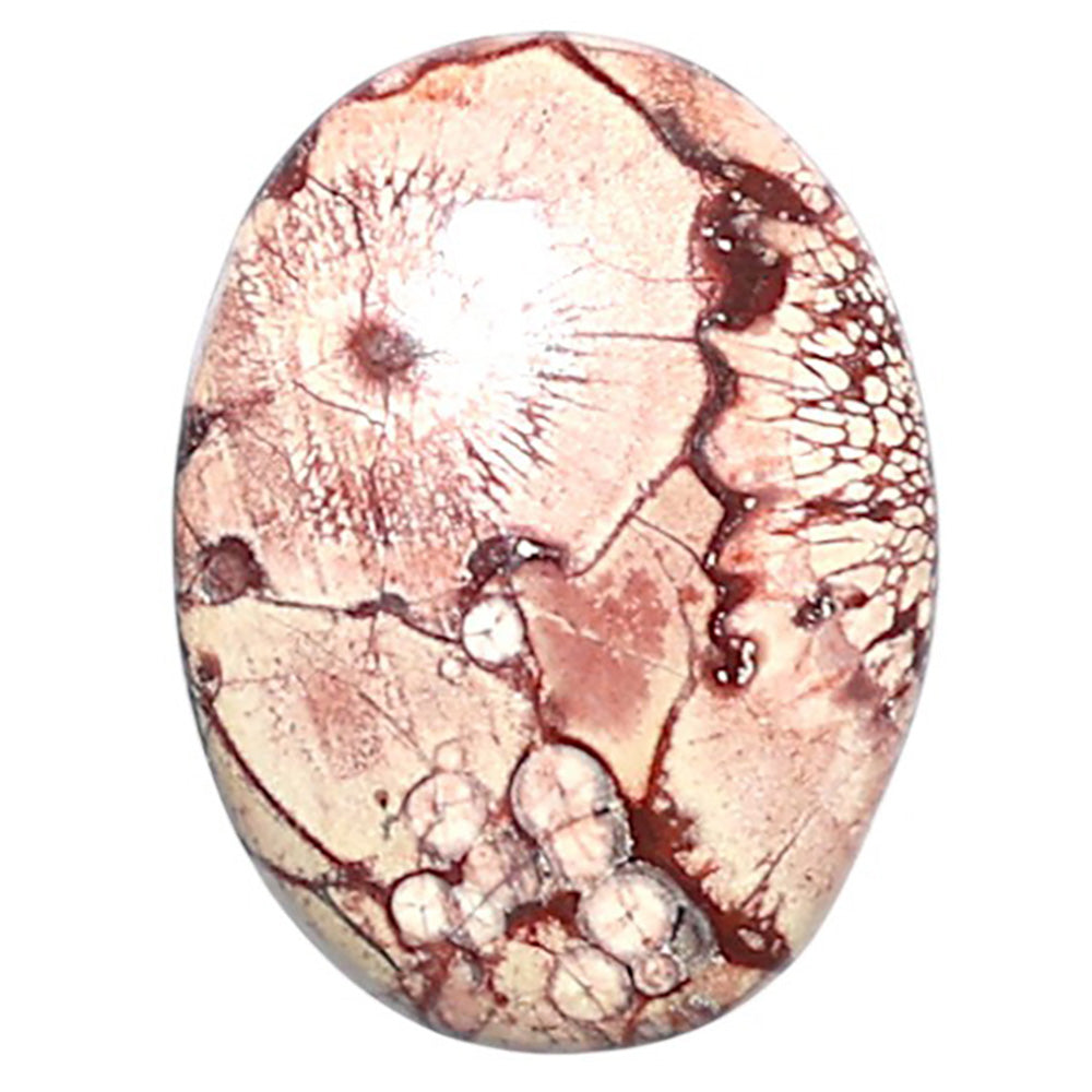 Mexican Bird Eye 14.3x19x4.5 mm Oval Shape Polished Gemstone LS92-08432