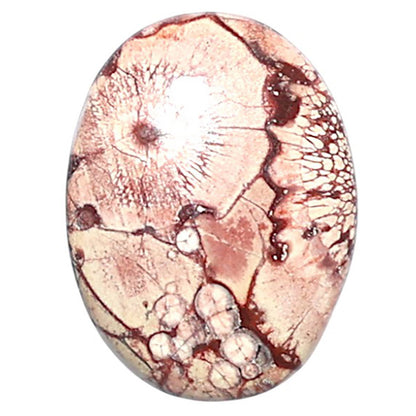 Mexican Bird Eye 14.3x19x4.5 mm Oval Shape Polished Gemstone LS92-08432