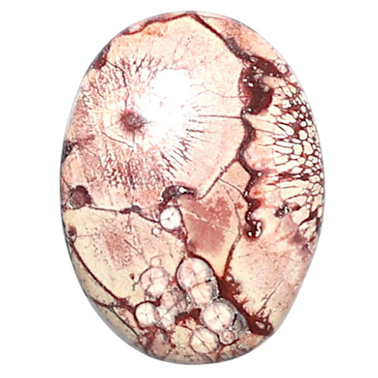 Mexican Bird Eye 14.3x19x4.5 mm Oval Shape Polished Gemstone LS92-08432