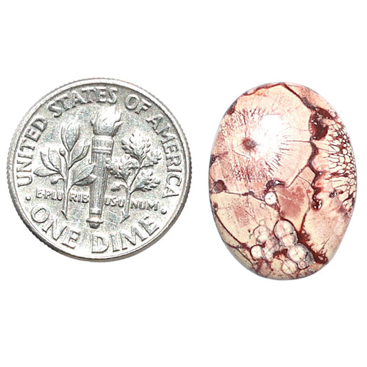 Mexican Bird Eye 14.3x19x4.5 mm Oval Shape Polished Gemstone LS92-08432