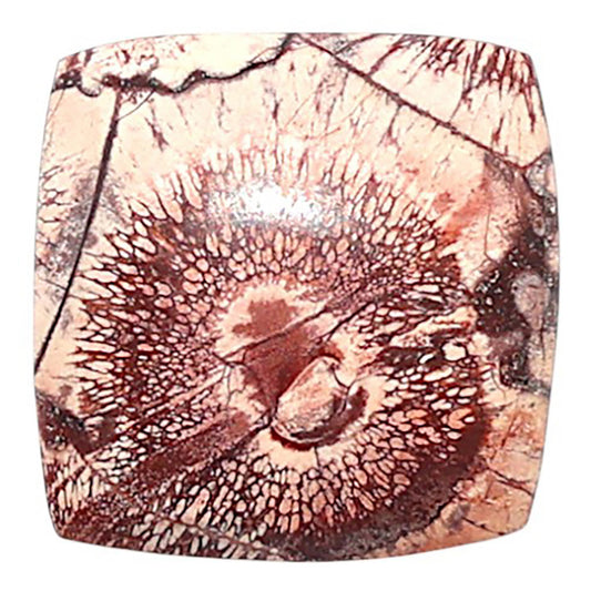 Mexican Bird Eye 16.3x16.3x4.3 mm Cushion Shape Polished Gemstone LS92-08433